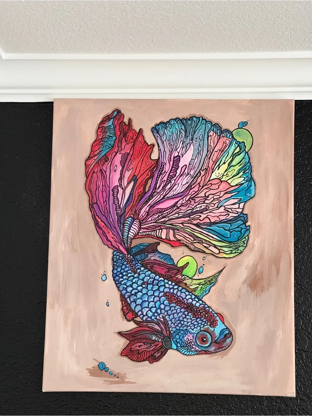 Colorful Betta Fish Wall Art Print - Multicolor